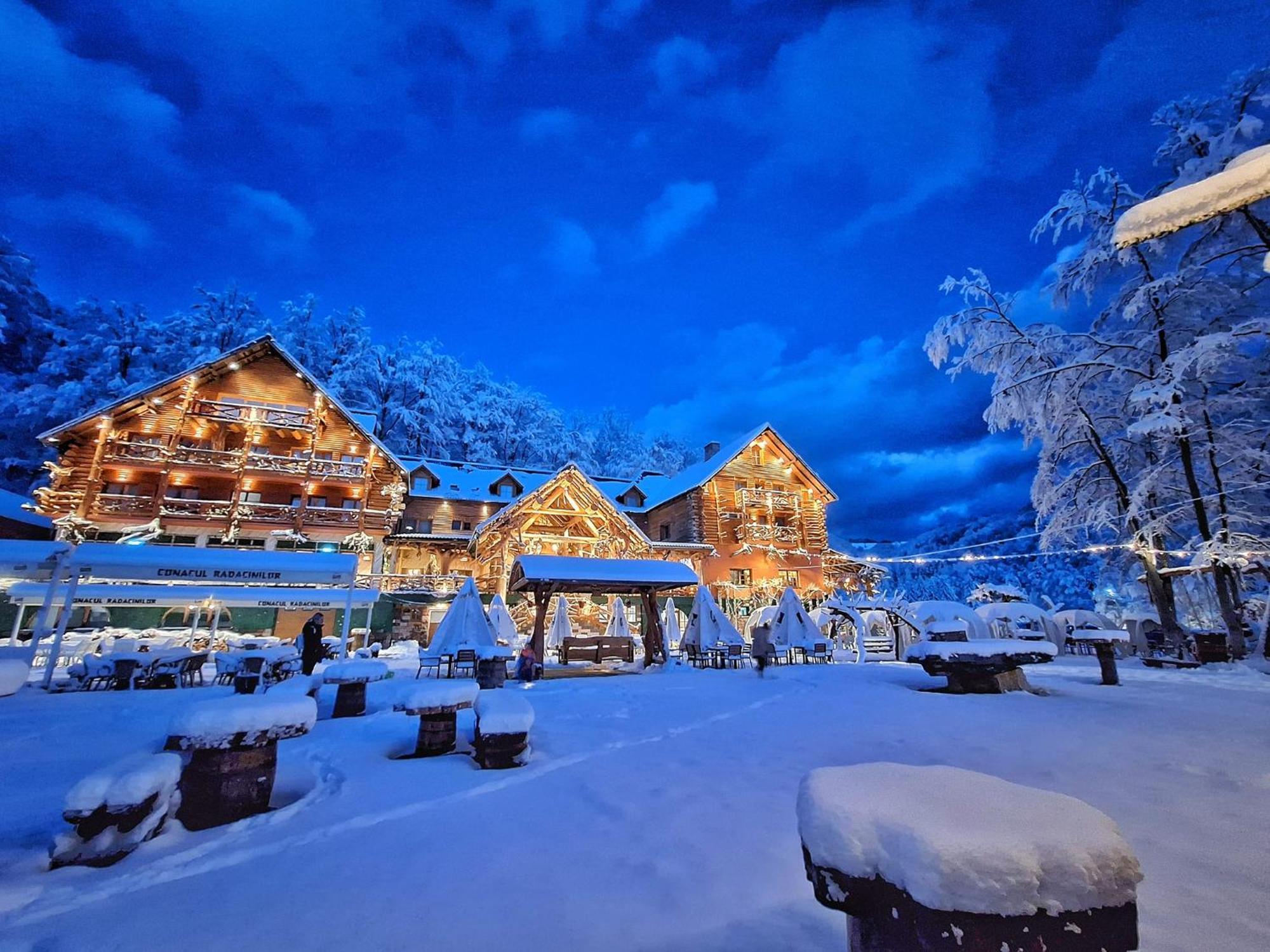 Hotel Conacul Radacinilor Petroşani Exterior foto